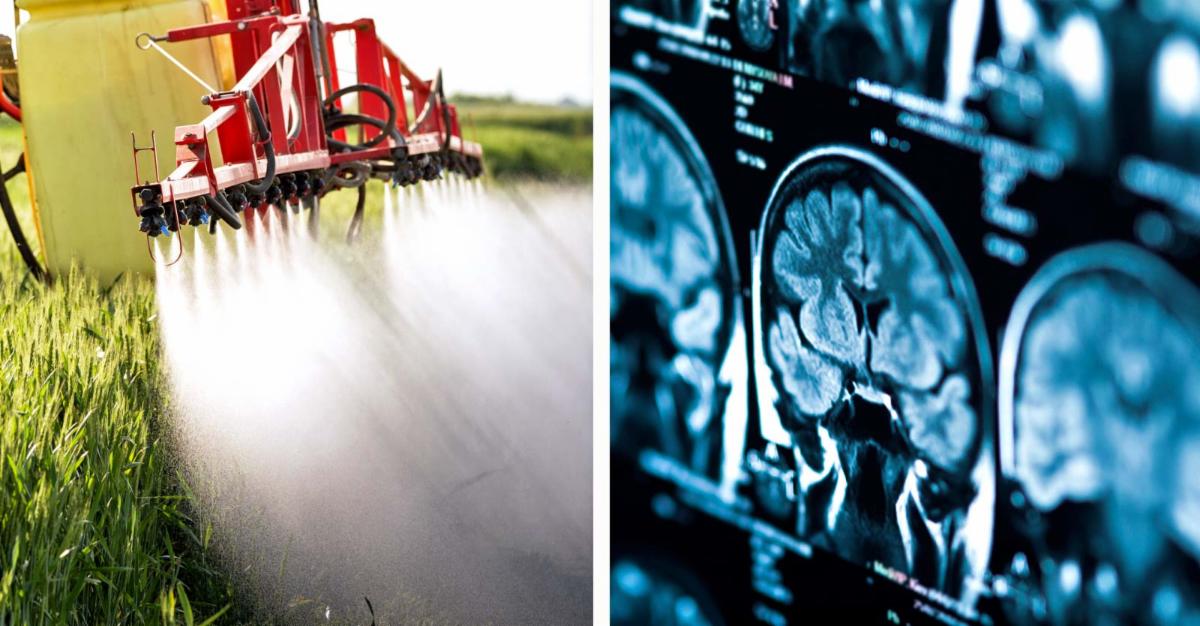 pesticides 