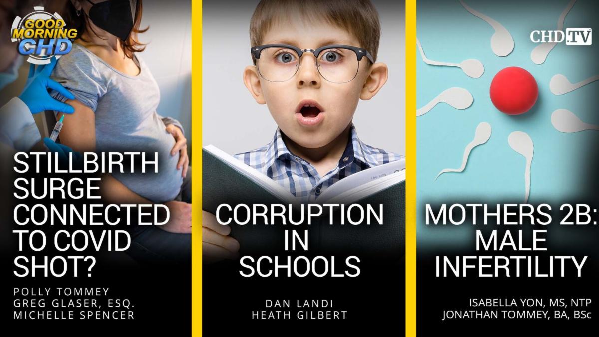 Stillbirth Surge Connected to COVID Shot + Corruption in Schools + Mothers 2B