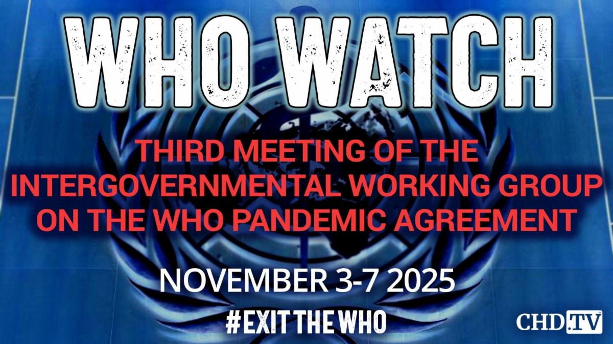 WHO WATCH - Third Meeting of the Intergovernmental Working Group (IGWG) on the WHO Pandemic Agreement - Nov. 3-7