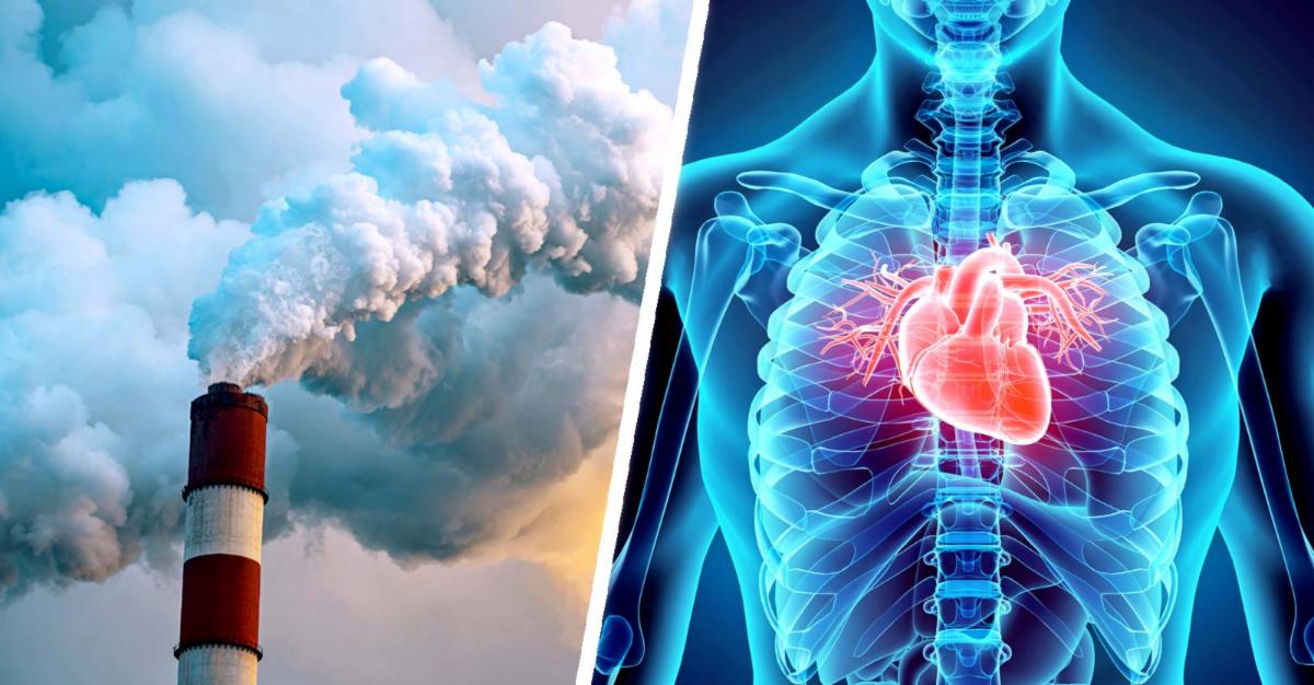 air pollution and human heart