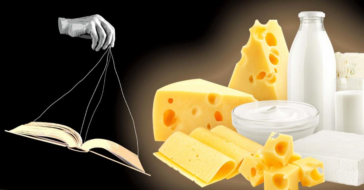cheese 