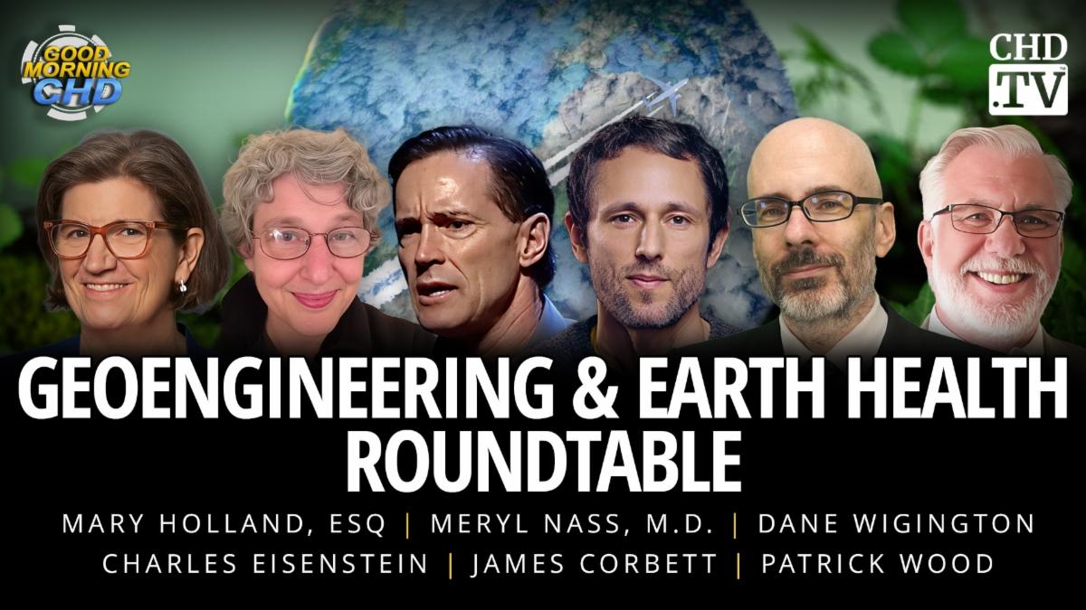 Geoengineering & Earth Health Roundtable