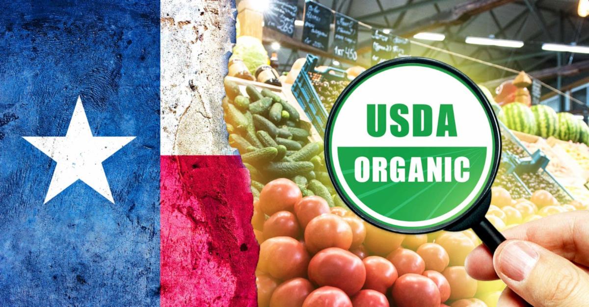 texas flag and organic produce