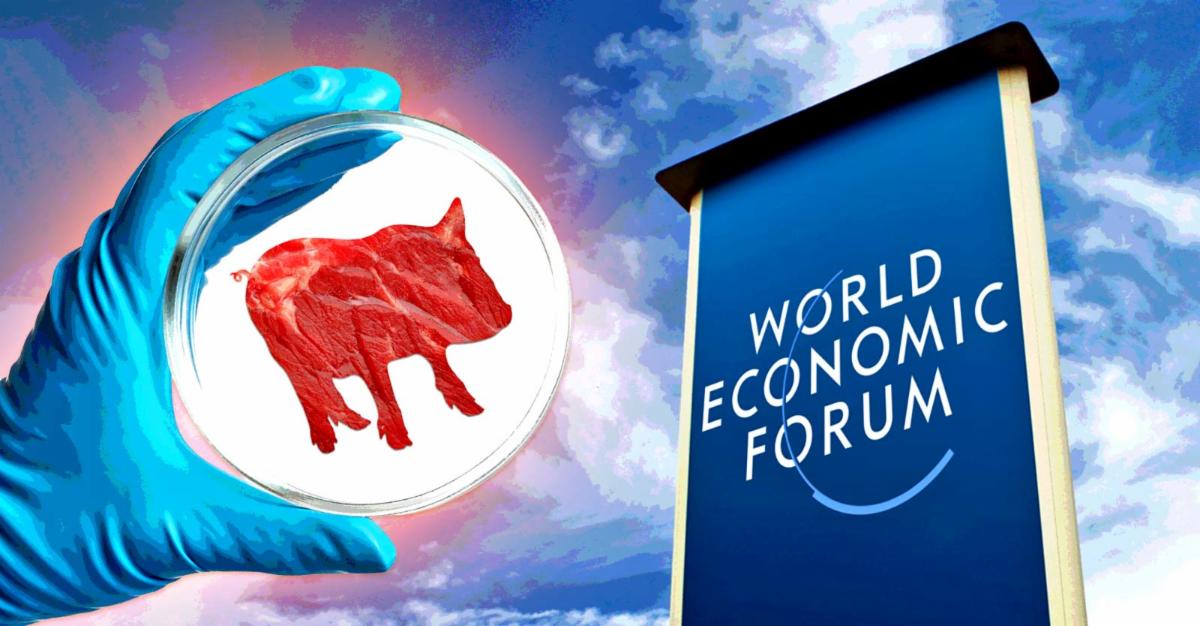 World Economic Forum sign and glove holding lab meat