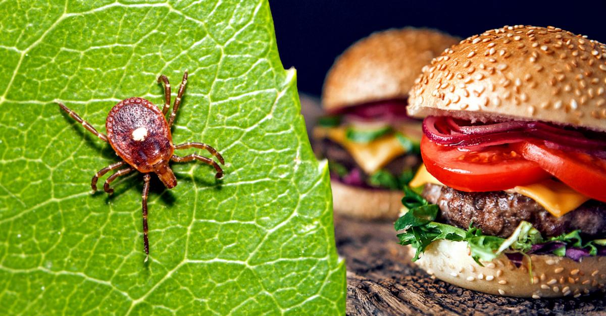 meat allergy