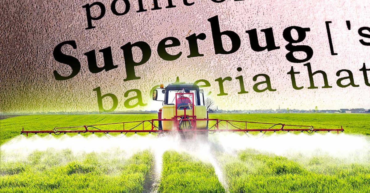superbug pesticides 