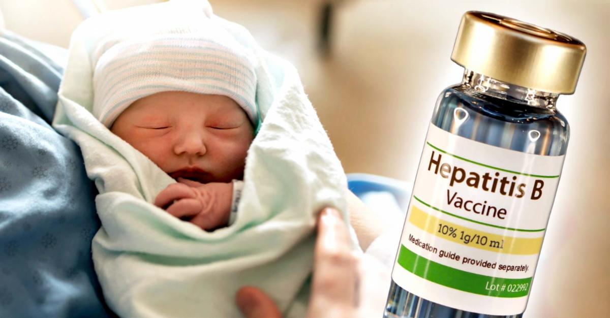 newborn and hep b vaccine