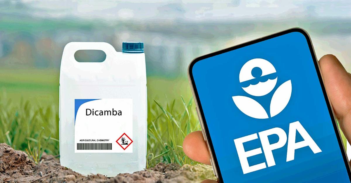dicamba bottle on right and epa logo on phone on left