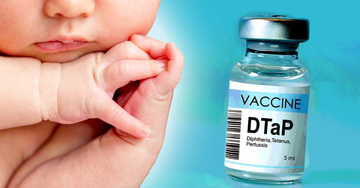 dtap vaccine