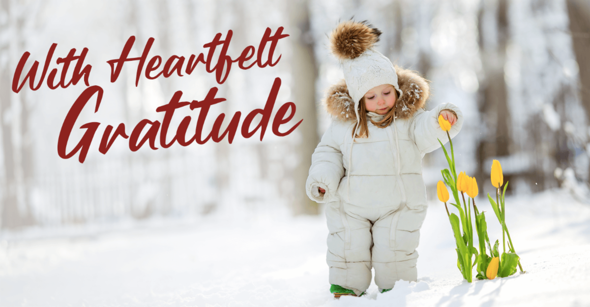 the words With Heartfelt Gratitude over a snowy background and a child in a snowsuit with daffodils