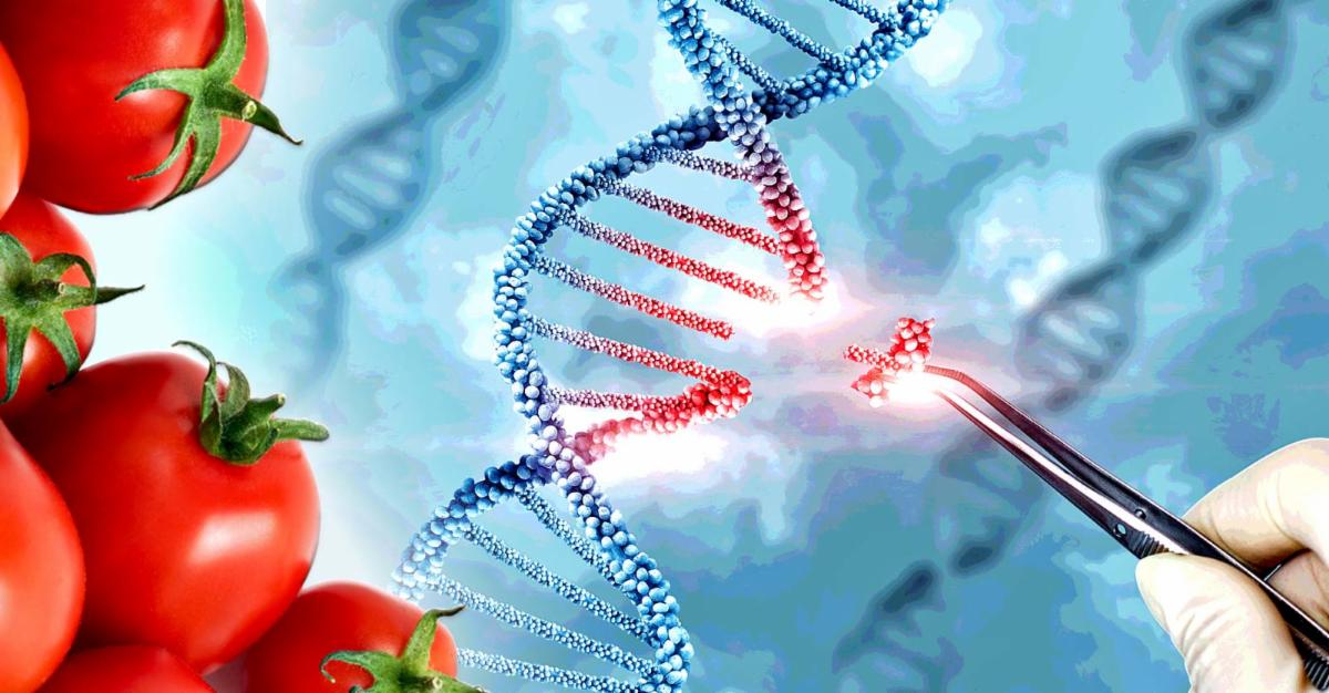 gene editing