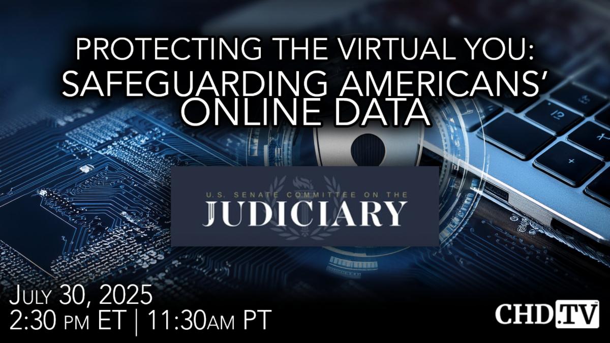 Protecting the Virtual You Safeguarding Americans' Online Data