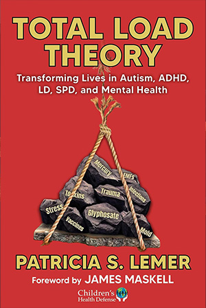 Total Load Theory - Transforming Lives in Autism, ADHD, LD, SPD, and Mental Health - Book Cover