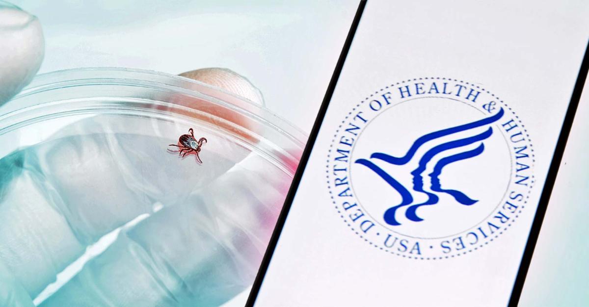 lyme tick and hhs on phone