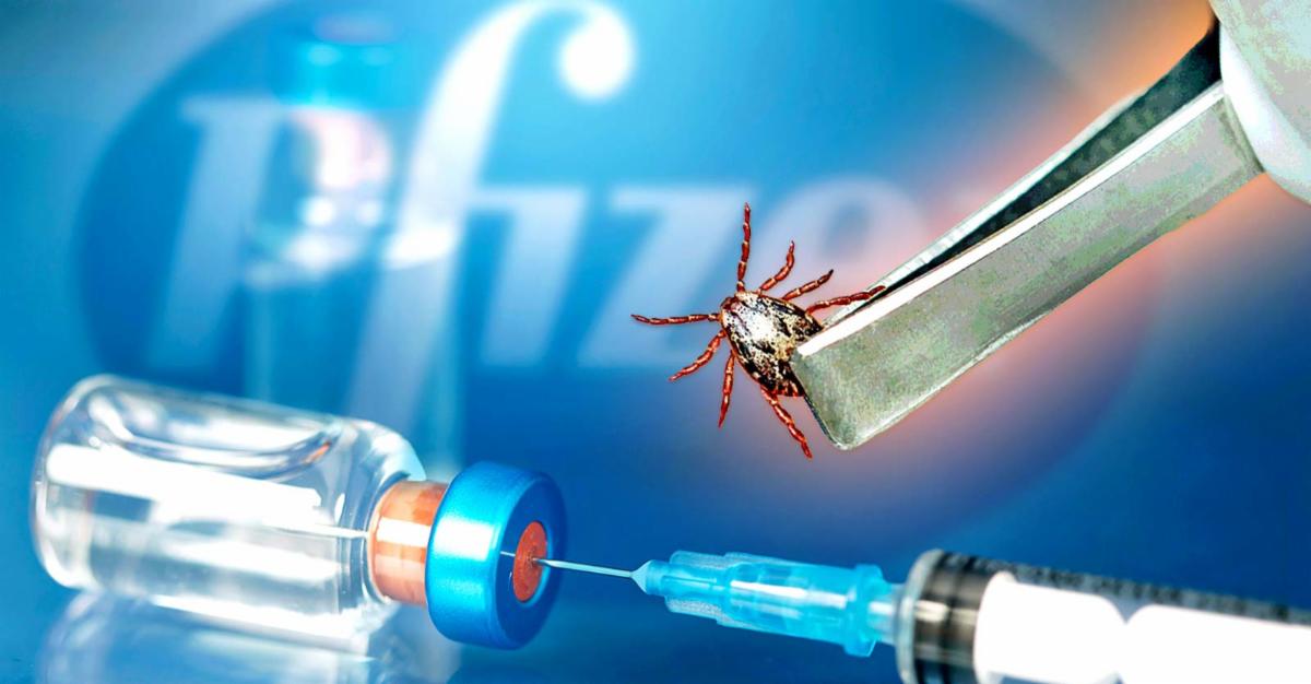 pfizer vaccine and tick