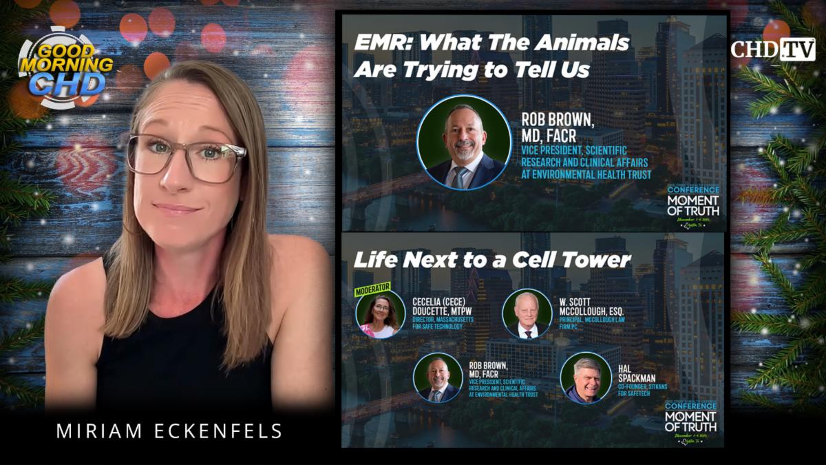 EMR: What The Animals Are Trying to Tell Us + EMR: Life Next to a Cell Tower