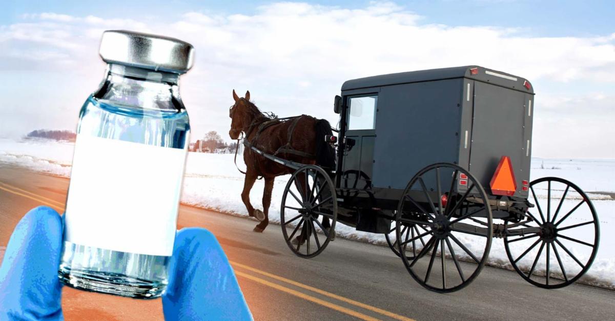 vaccine and amish buggy 