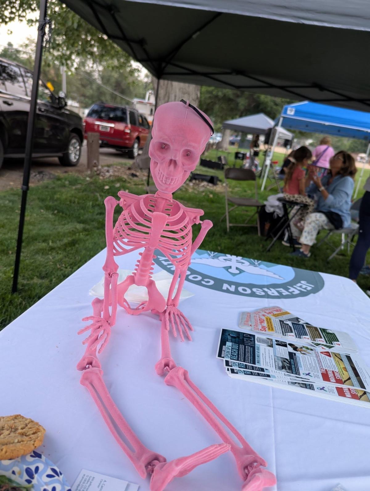 Pink skeleton display on a Jefferson County Coronerâs Office table at an outdoor community event.