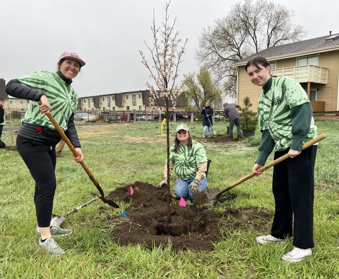 Volunteers planting a tree during a community event.