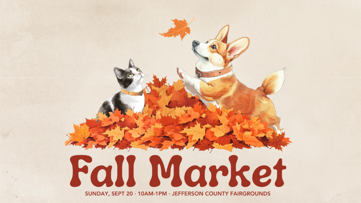 Fall Market graphic featuring a corgi and cat playing in autumn leaves. Sunday, Sept. 20, 10 a.m.-1 p.m. at Jefferson County Fairgrounds.