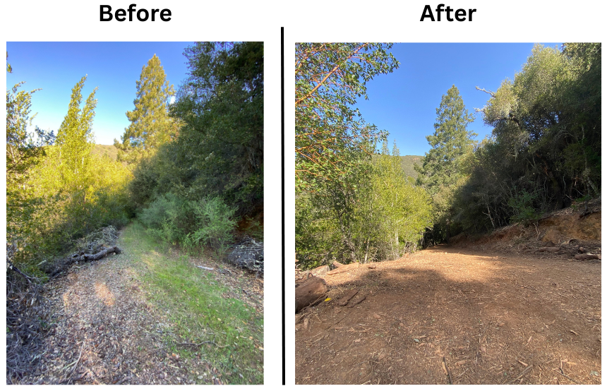 228f05dd-f5d6-4b96-ba35-a6c1fa69ac18 image