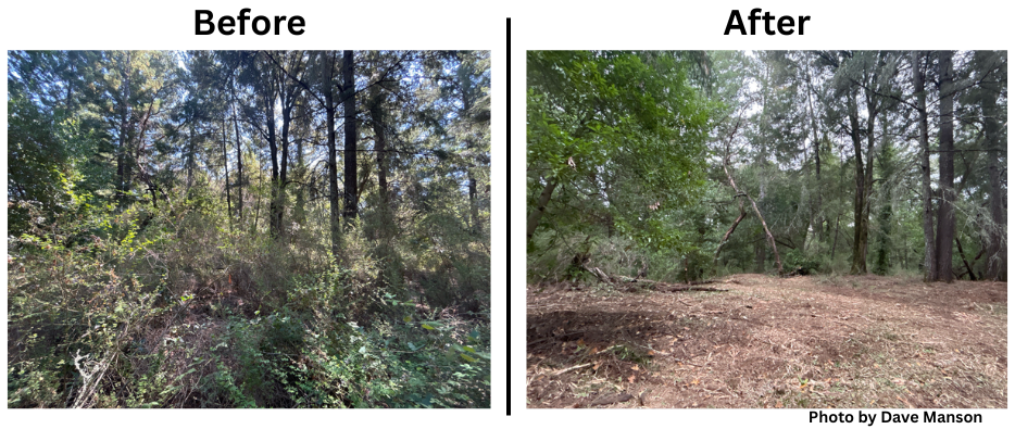 50093a73-96b9-4f40-82b1-ded292c6ea1e image