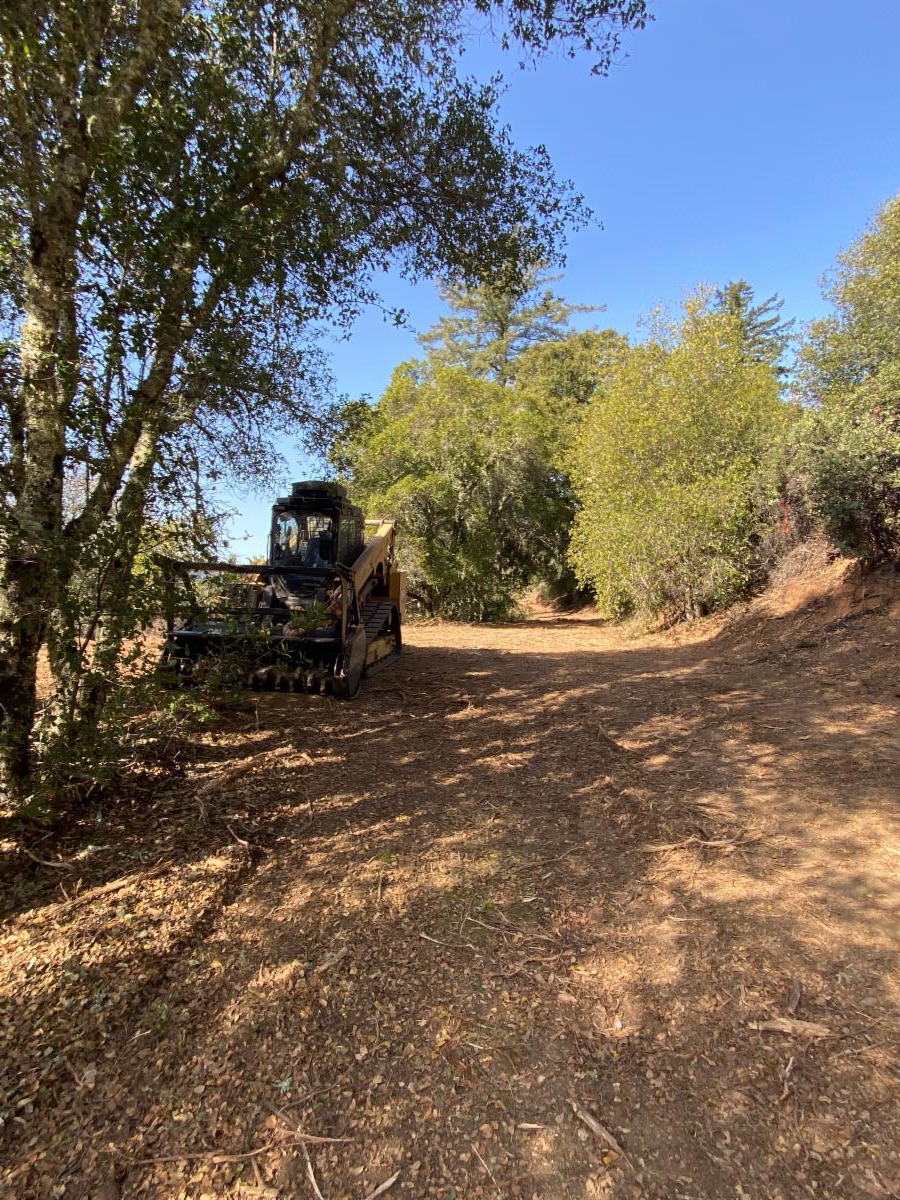 f780fbb0-e36f-4689-a3e8-3ff2f9cab704 image