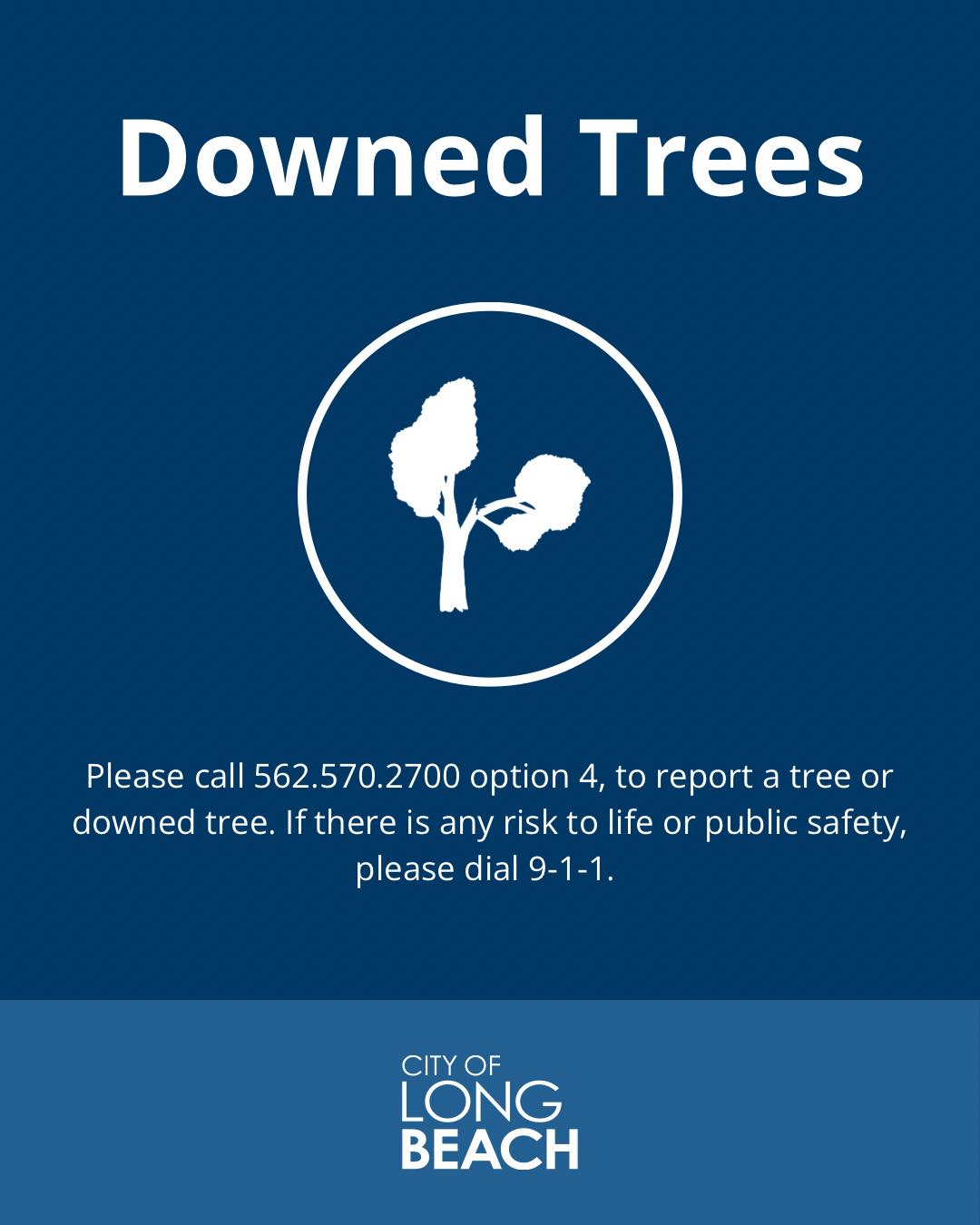 Call 562.570.2700 (option 4) to Report Downed or Falling Trees and Branches