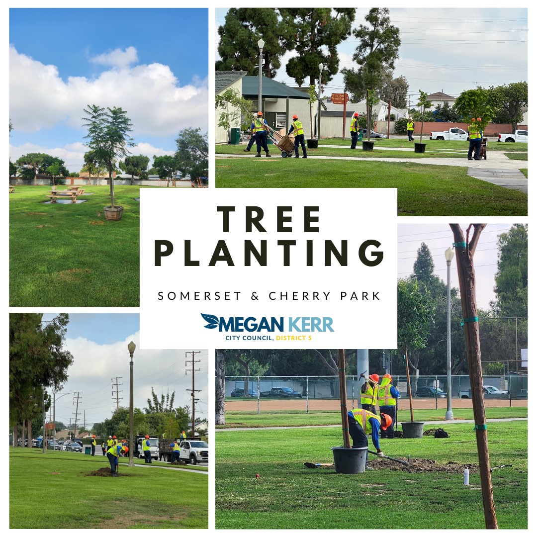 A four panel collage with pictures showing recent tree planting in Somerset and Cherry Park