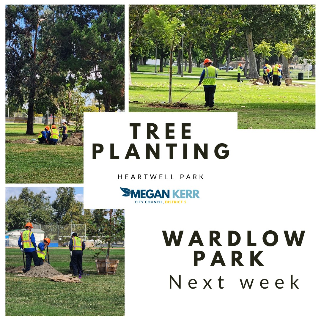 A four panel collage with three pictures showing recent tree planting in Heartwell Park. The fourth image says Wardlow Park Next Week