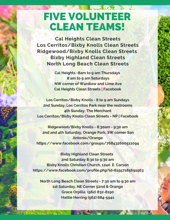 Directory for 5 volunteer clean teams in CD5