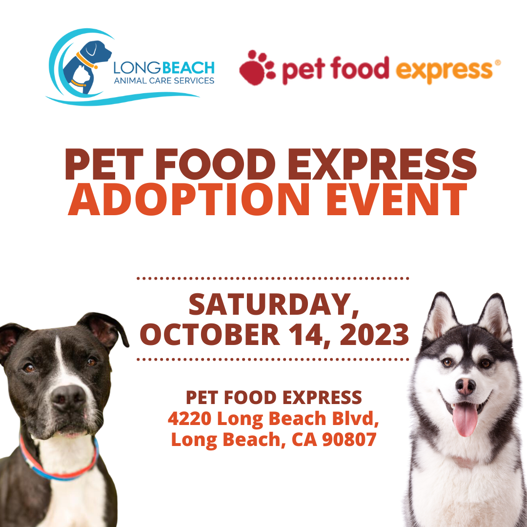 Pet Food Express Adoption Event