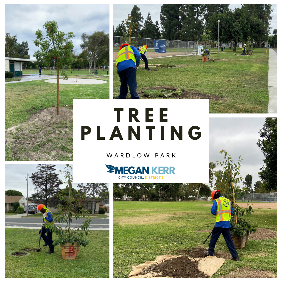 A collage of 4 images showing tree planting efforts at Wardlow Park.