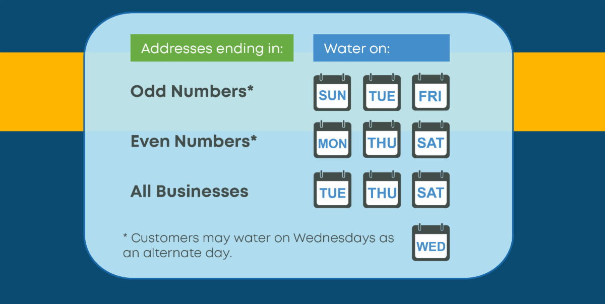 Watering Schedule