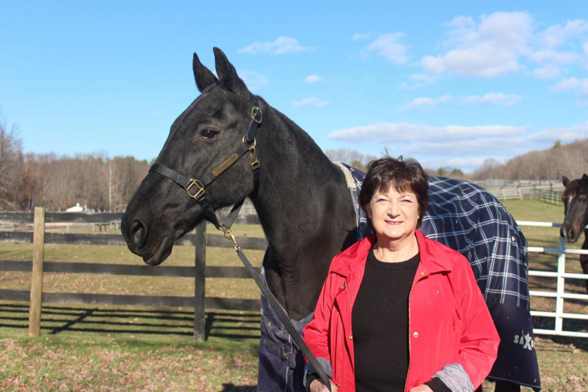 happy-27th-birthday-equine-advocates