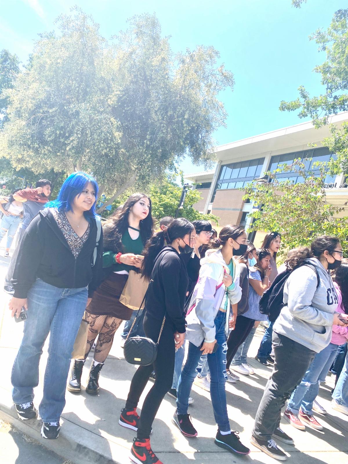 davis trip 1.jpg