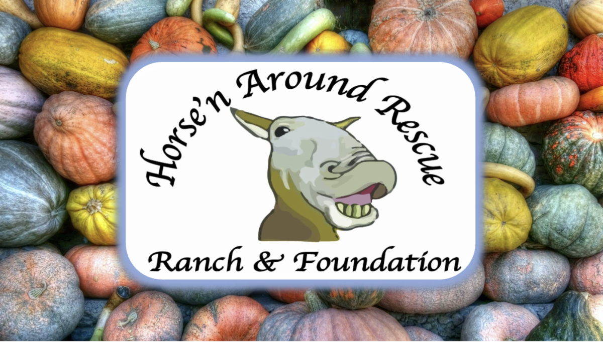 Open House Events Tack Donations