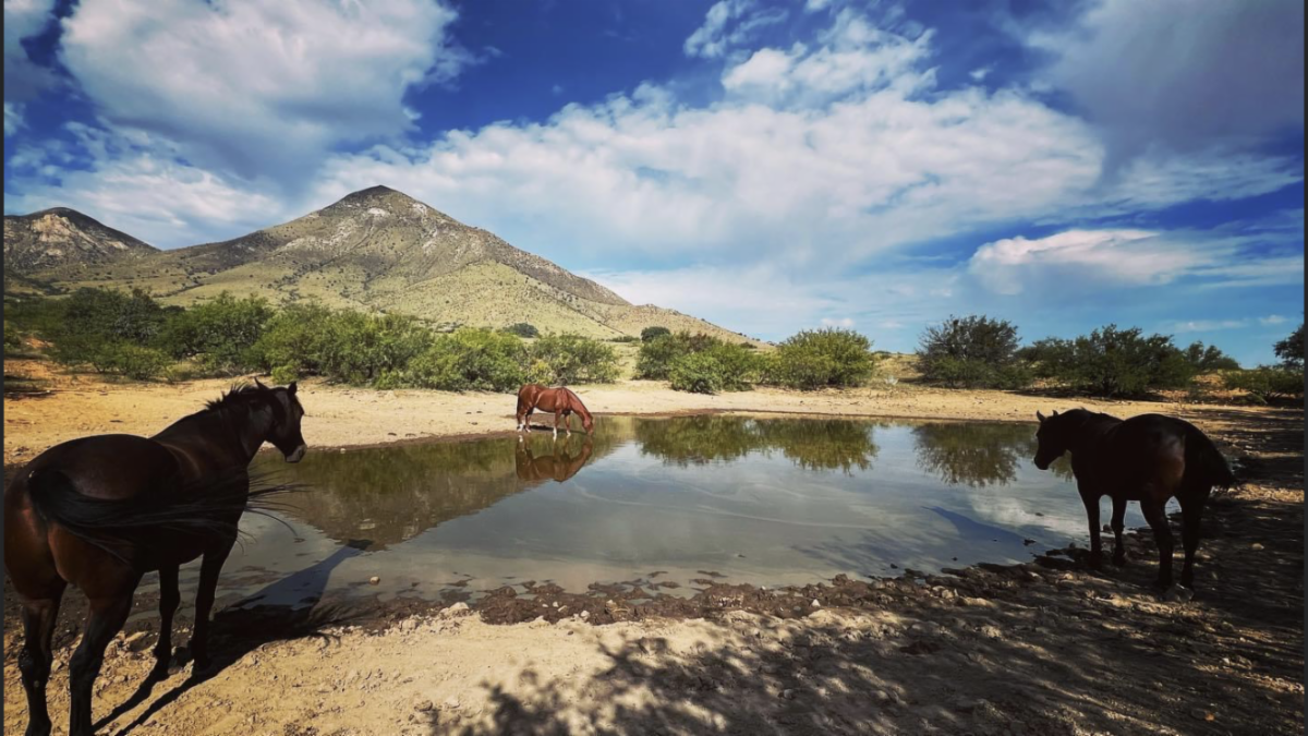 Open House Events Tack Donations