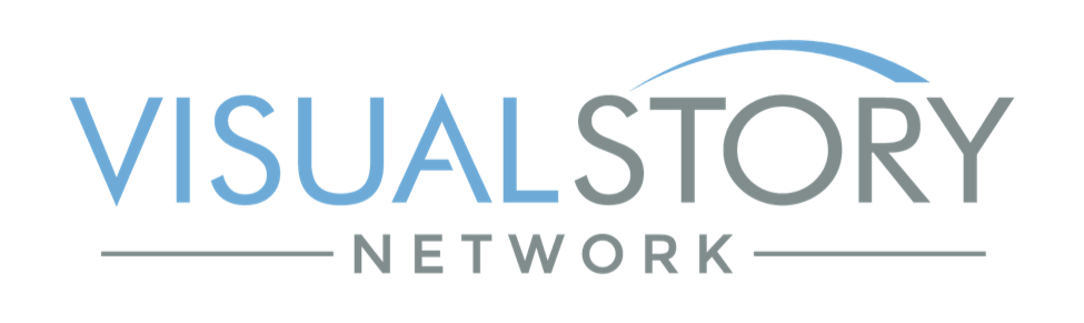 VSN Logo