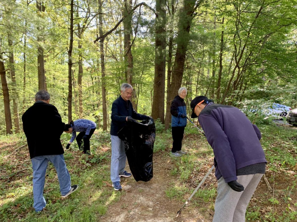five adults pick up litter in a wooded area