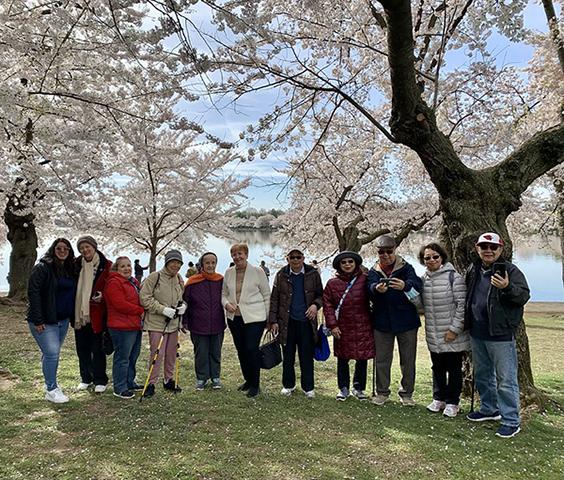 group of adults standing in front of a cherry tree