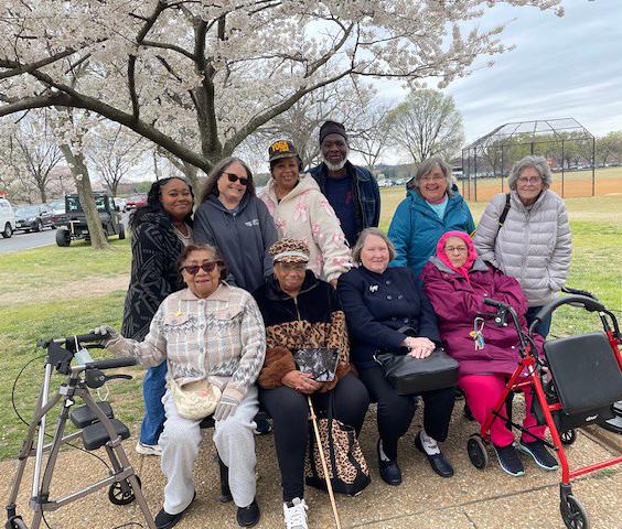 group of adults standing in front of a cherry tree