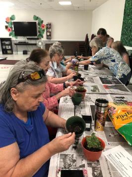 women working on cactus plants while seated at a table