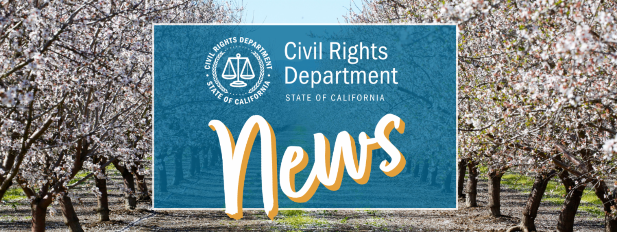 A central California almond orchard in full bloom 