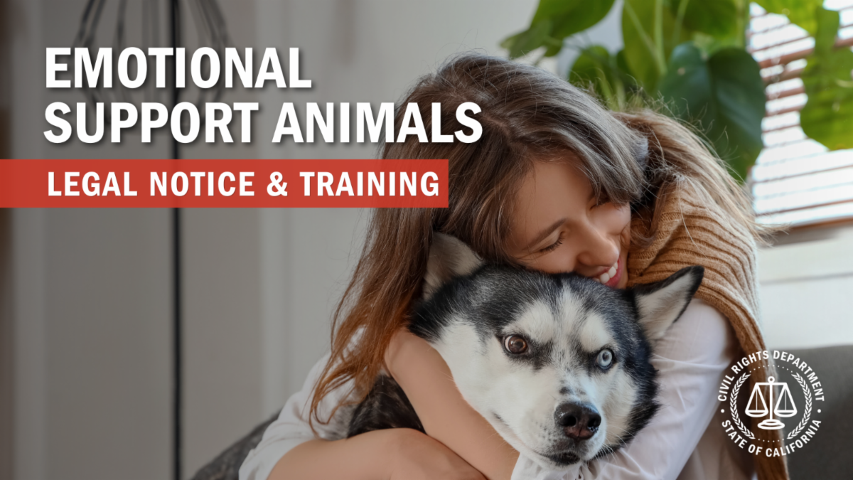 A woman with long brown hair hugs her emotional support husky dog tightly.