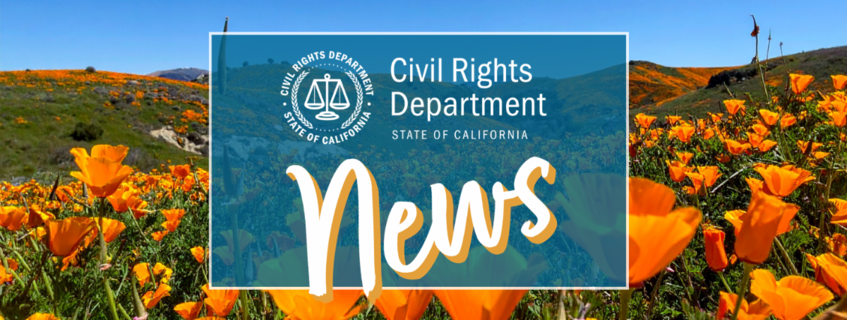 A field of California Poppies in bloom.