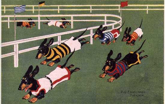 Racing Dawgs