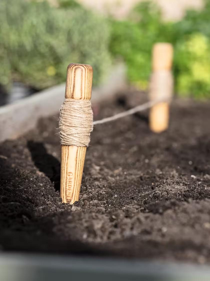  use small pieces of wood and twine to mark rows