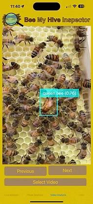 It uses artificial intelligence and a smartphone camera to look at bee hives and identify possible problems