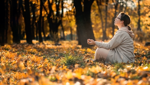 Caucasian middle aged woman meditating in lotus pose at autumn park with sunlight. Yoga at fall park. Woman in glasses relaxing on yellow leaves. Meditation_ Mental health_ self care_ mindfulness